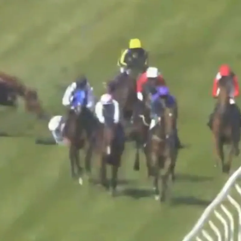 Jockey Jack Dace Hospitalized, Horse Euthanized After Brighton Race Crash