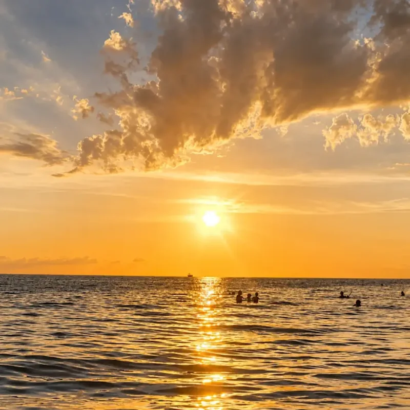 CNN Names Sarasota Top American Town to Visit in 2026 List