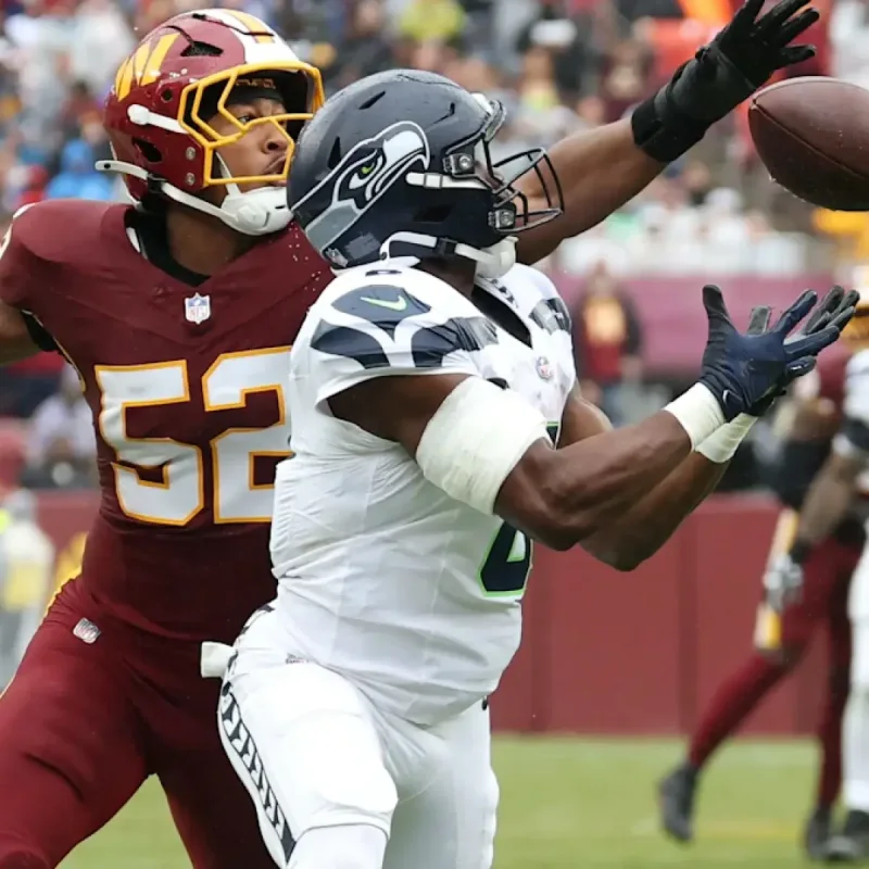 Arvell Reese and Sonny Styles, NFL rookie linebackers, in action