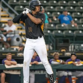 Pirates Promote Jhostynxon Garcia to Replace Injured Ryan O'Hearn