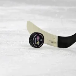 Simon Nemec Denies Trade Request, Says Translation Was Bad