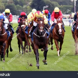 Harry Wilson Reveals Top Horse Racing Selections for Saturday Action