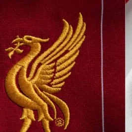 Liverpool One Point Away from Champions League Qualification Against Brentford