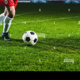 Benfica Lead Race to Sign Wolfsburg Forward Dzenan Pejcinovic