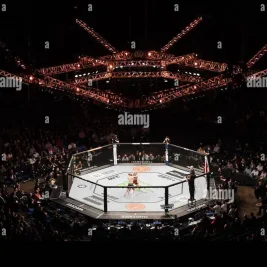 Alex Pereira to Face Ciryl Gane for UFC Interim Heavyweight Title at White House