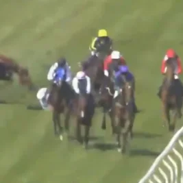 Jockey Jack Dace Hospitalized, Horse Euthanized After Brighton Race Crash