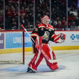 Red Wings Weigh Goaltending Shift: Postava as Backup, Cossa Trade Rumors