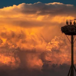 National Weather Service Warns of Dangerous Heat Wave Across US