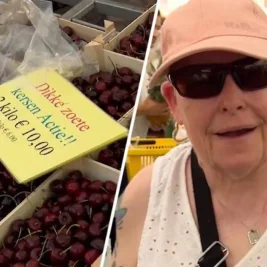 Helmond Weekly Market Defies Extreme Heat, Offers Free Ice Cream