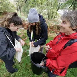 Volunteers Cultivate Eight Million Native Trees to Revive Scotland's Atlantic Rainforest