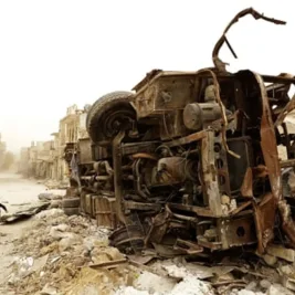 Birds of War: Love Blossoms Amid Syria's Carnage