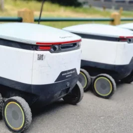 UK Pedestrian Charity Calls for National Regulations on Delivery Robots