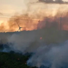 Wildfires Devastate Southern France, Force Evacuations Along Mediterranean Coast