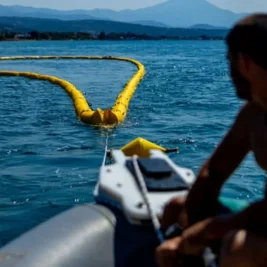 Toxic Pufferfish Invasions Spark Alarm Across the Mediterranean