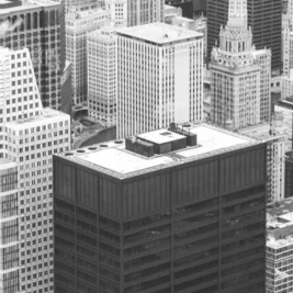 Mars Petcare Recalls Pedigree Canned Dog Food Over Metal and Plastic Contamination