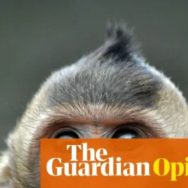 How Animals Experience Time: New Research Reveals Fluid Perceptions
