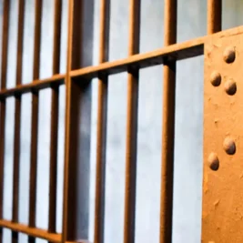 Reality TV Star Sentenced for 200,000 Euro Sneaker Theft