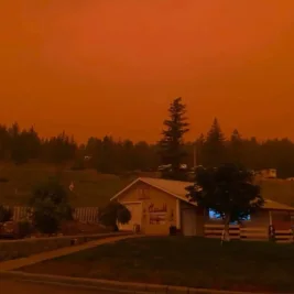Brunswick Complex Wildfires Burn Over 11,000 Hectares in Fraser Canyon