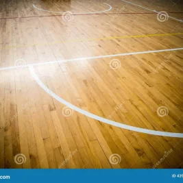 US Lawmakers Demand WNBA Answers on Caitlin Clark's Physical Play