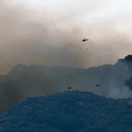 Wildfires Kill 12 in Southern Spain's Almeria Province
