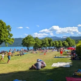 Extreme Heatwave Kills Hundreds and Forces Closures Across Europe