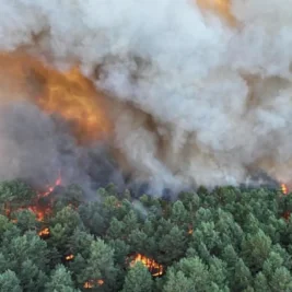 Wildfire Burns 800 Hectares in Fontainebleau Forest, Forces Evacuations