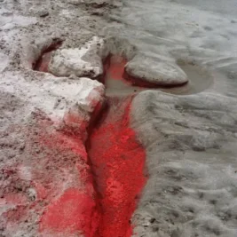 Ana Mendieta at Tate Modern: An Irresistible, Primeval Force