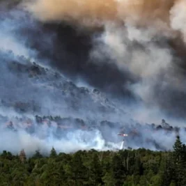 Pilot Dies in Crash While Fighting Gold Mountain Fire in Colorado