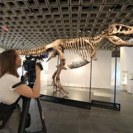 Sotheby's to Auction Massive T. Rex Skeleton 'Gus' Expected to Fetch Up to $30M