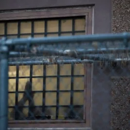 Tuberculosis Outbreak Hits Detainees at Aurora Immigration Jail