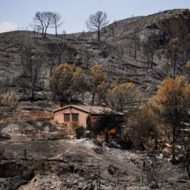 Wildfires Kill 13 in Southern Spain, Including 7 British Nationals