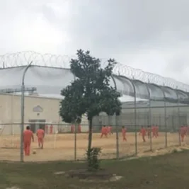 Venezuelan Man Dies in ICE Custody During Georgia Transfer, 22nd Death This Year