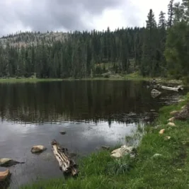 Two Men Arrested After Hostage Standoff in Shasta-Trinity National Forest