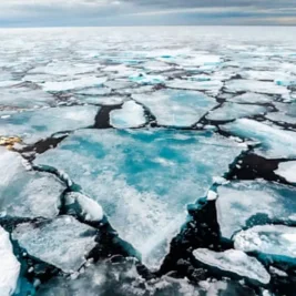 Arctic Sea Ice Decline Resumes After Brief 20-Year Pause