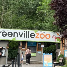 Escaped Amur Leopard Recaptured at Greenville Zoo