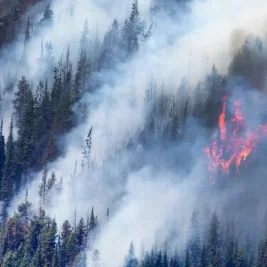 Dove Fire Forces Mandatory Evacuations in Tuolumne County