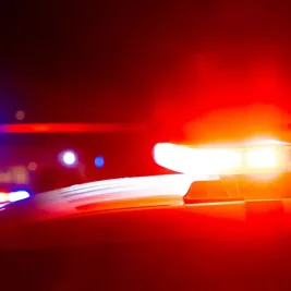 78 Animals Rescued from Carlisle Property in Cruelty Probe