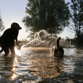 Baden-Wurttemberg Braces for Extreme Heatwave with Temperatures Up to 40°C