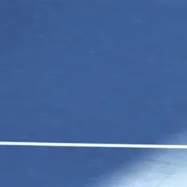 Venus Williams to Face Anastasia Potapova at Washington DC Open