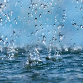 Cold Front Sweeps Georgia, Bringing Storms and Midweek Relief