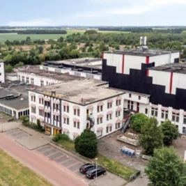 Hennie van der Most Assets Head to Auction Over 50 Million Euro Debt