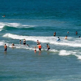 Warming Oceans Push Sharks and Stingrays Toward Northern US Coasts