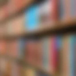 Zoom Books Targets 800,000 Dutch-Language Titles from Retailers