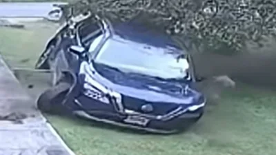 Nine Cars Have Crashed Into This Maryland Woman's Yard in Two Years