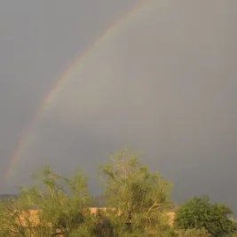 Tropical Storm Rachel to Soak Arizona With Rain and 55 mph Winds