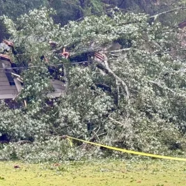 Falling Tree Kills One and Traps Another in East Birmingham Home