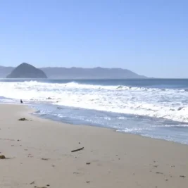 Kelvin Wave From El Niño Drives California Coastal Flood Risk