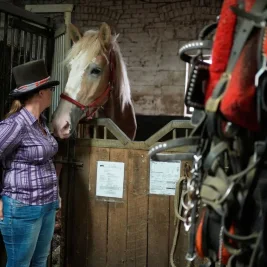 NYC Council Set to Ban Horse Carriages by 2028, Drivers Warn of Lost Livelihoods