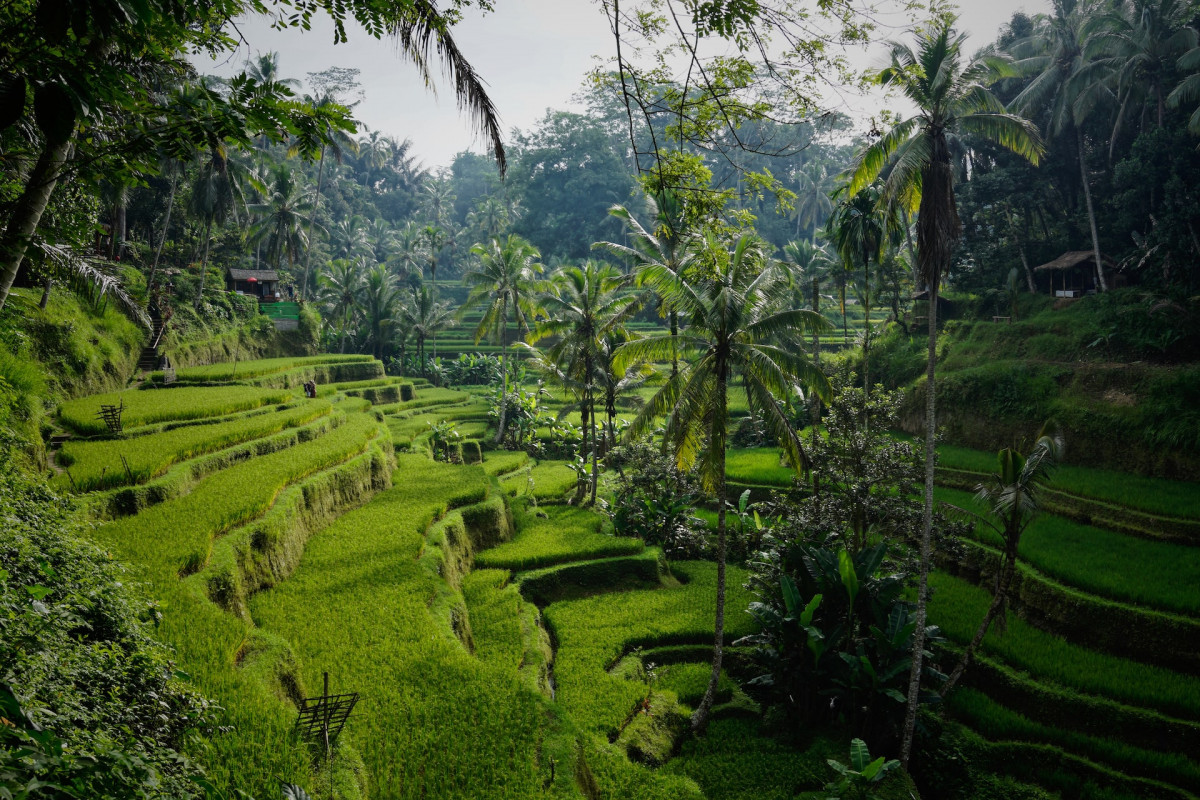 Bukan Denpasar atau Badung, Ternyata Ini Kabupaten Terluas di Provinsi Bali, Kota Anda Termasuk?