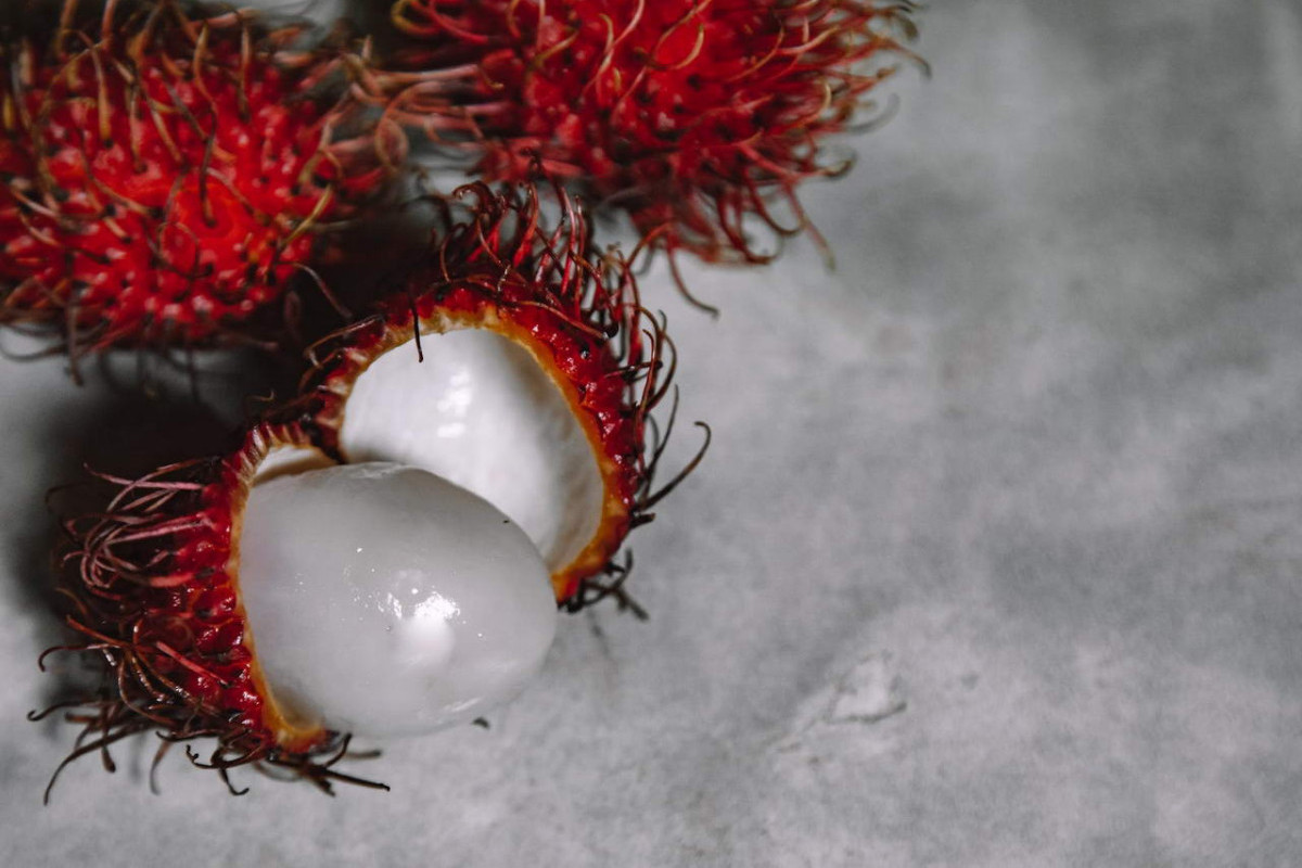 Ternyata Bukan di Binjai! Ini Daftar Daerah Penghasil Buah Rambutan Terbesar di Sumatera Utara, Wilayah Mana ya?